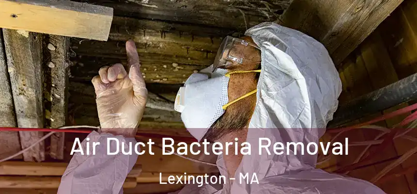  Air Duct Bacteria Removal Lexington - MA