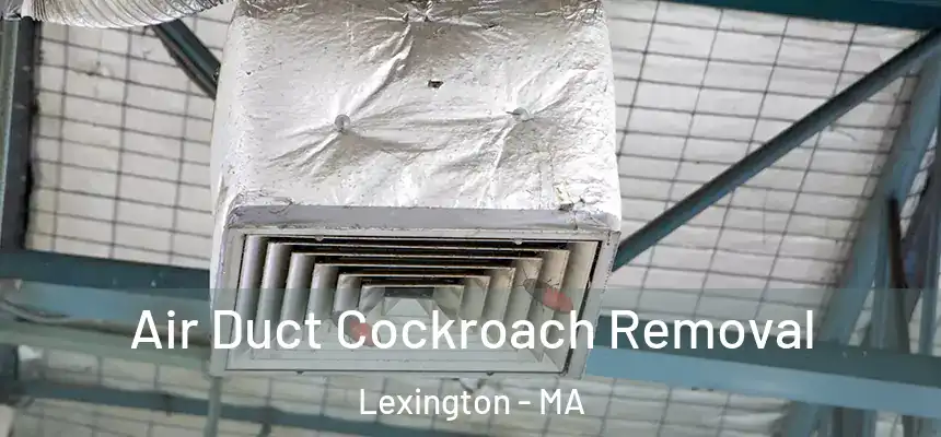  Air Duct Cockroach Removal Lexington - MA