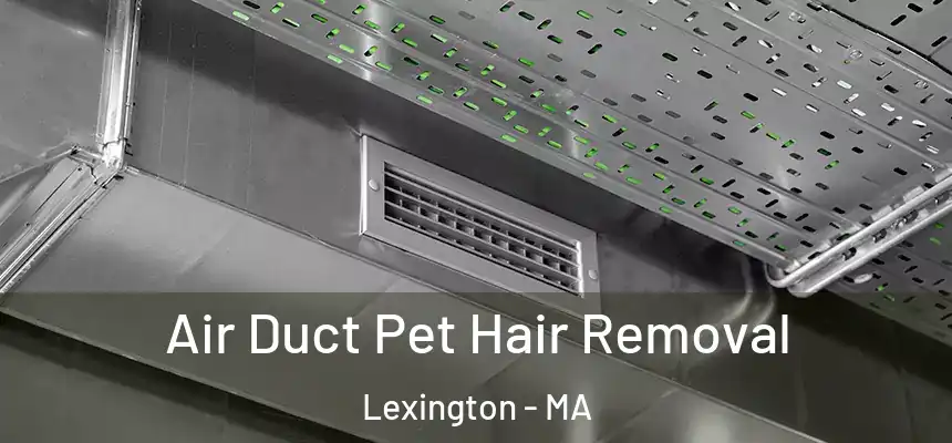  Air Duct Pet Hair Removal Lexington - MA