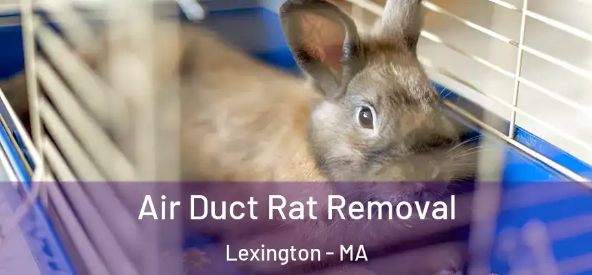 Air Duct Rat Removal Lexington - MA