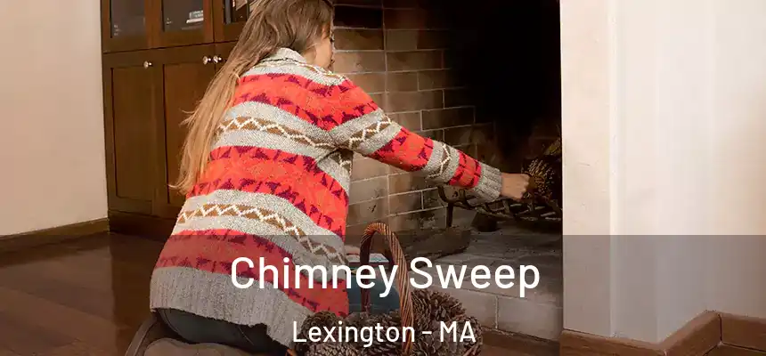  Chimney Sweep Lexington - MA