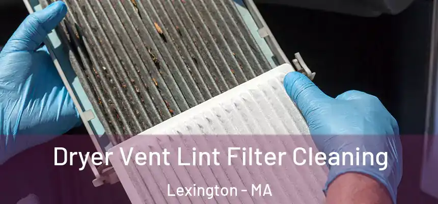  Dryer Vent Lint Filter Cleaning Lexington - MA