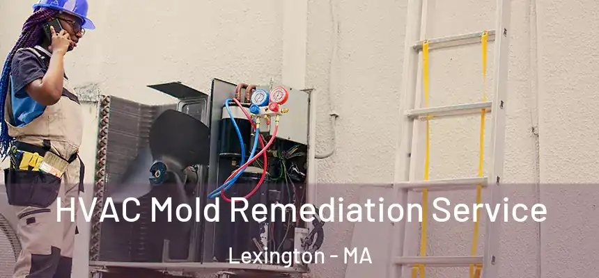  HVAC Mold Remediation Service Lexington - MA