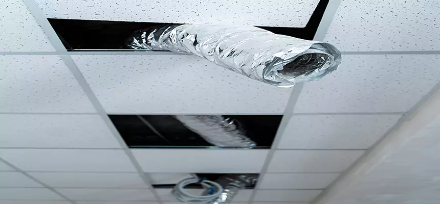 Our Air Duct Pet Hair Removal Services in Lexington, MA