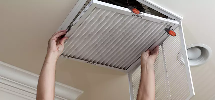 Our Insect Removal from Air Ducts Services in Lexington, MA