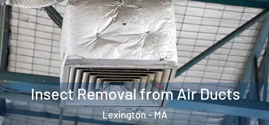 Insect Removal from Air Ducts Lexington - MA