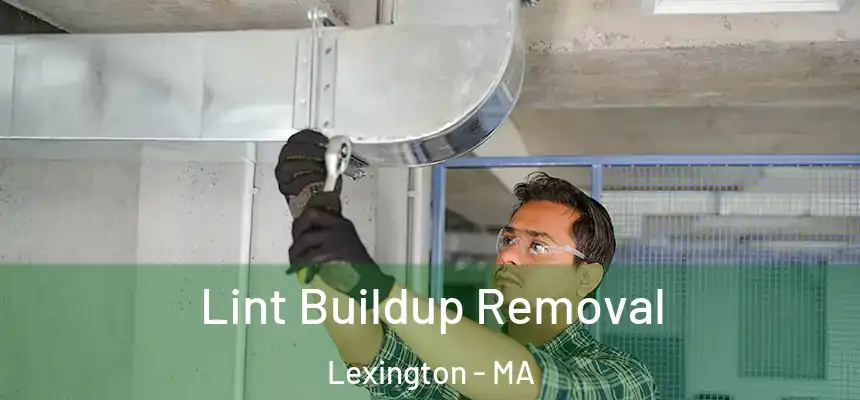  Lint Buildup Removal Lexington - MA