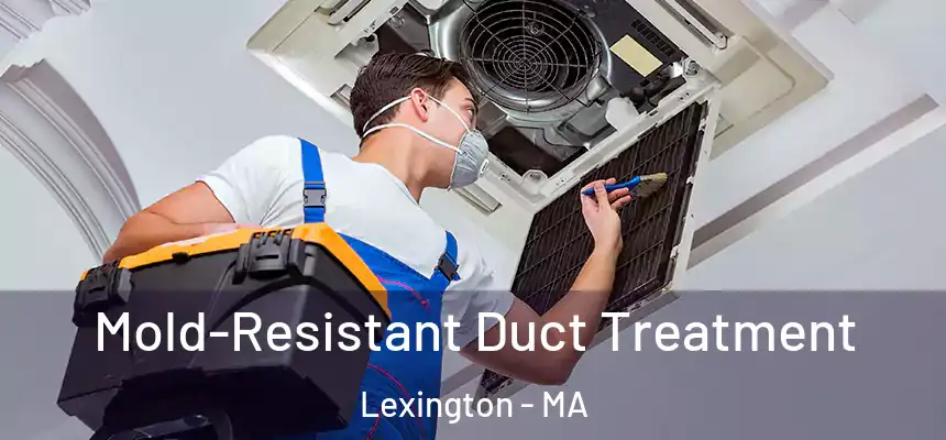 Mold-Resistant Duct Treatment Lexington - MA