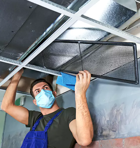 About Air Duct Bacteria Removal in Lexington
