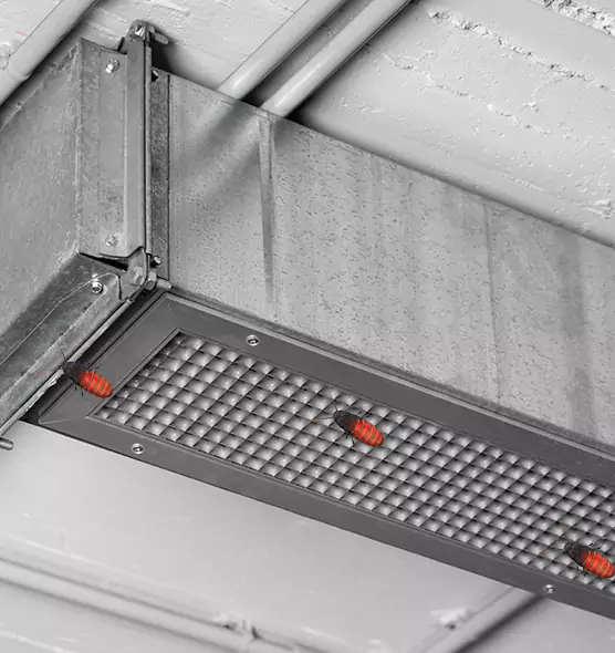 About Air Duct Cockroach Removal in Lexington, MA