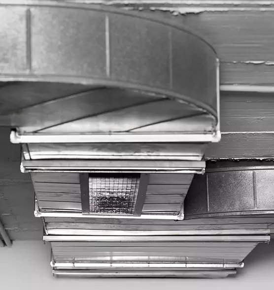 Professional Air Duct Pet Hair Removal in Lexington, MA