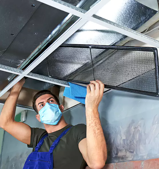 Professional Air Duct Pollen Cleaning in Lexington, MA