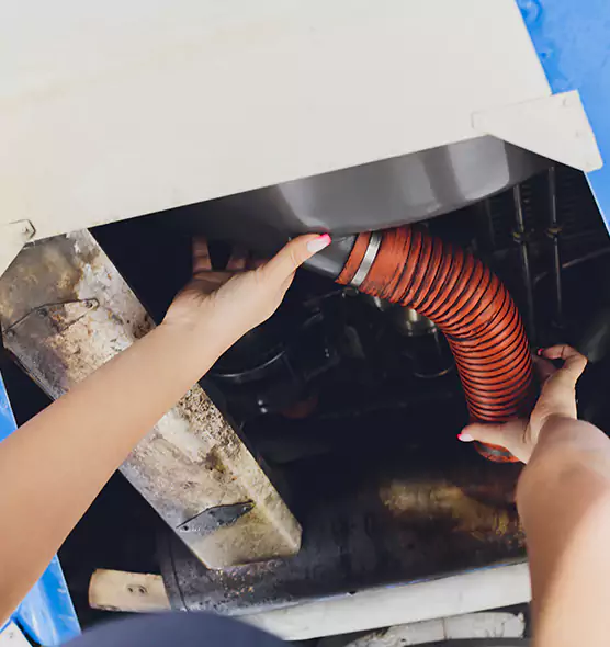 About Air Duct Virus Disinfection in Lexington, MA