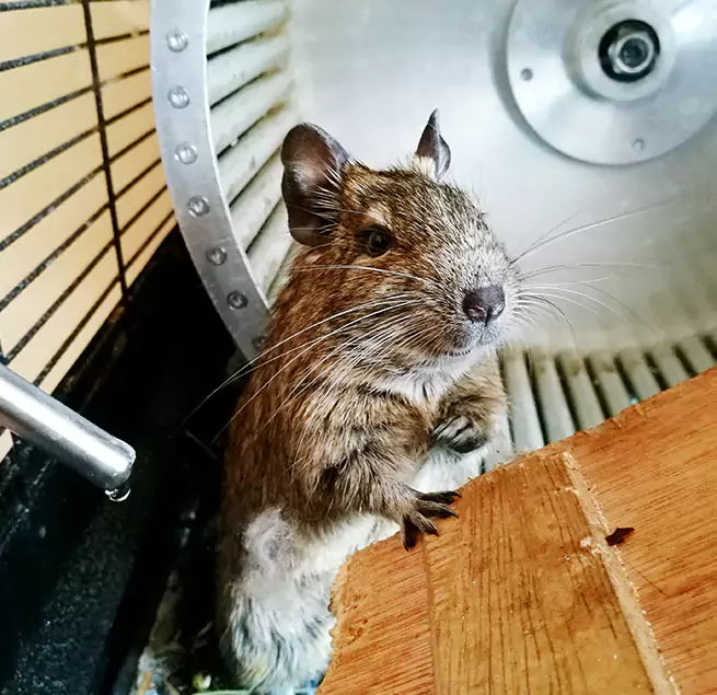 Why Homeowners & Businesses Trust Us Lexington, MA