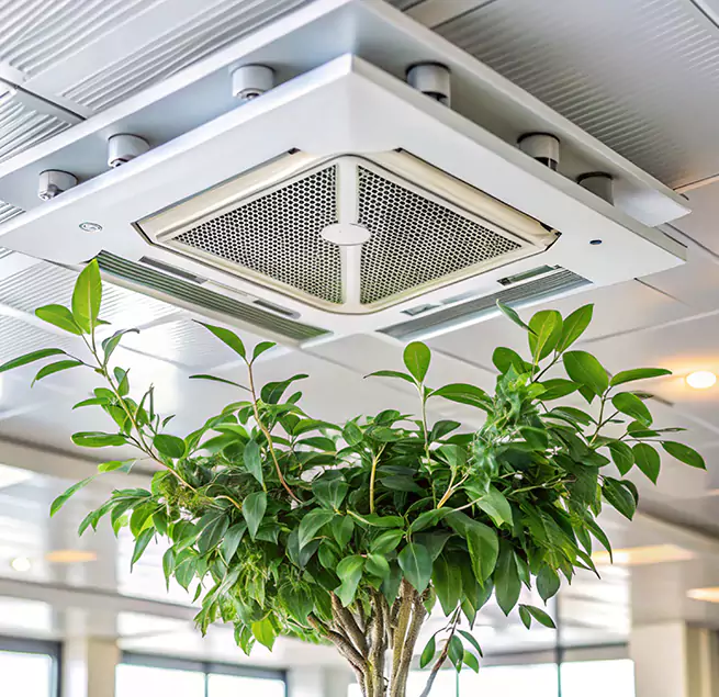 Why Homeowners & Businesses Trust Us in Lexington, MA