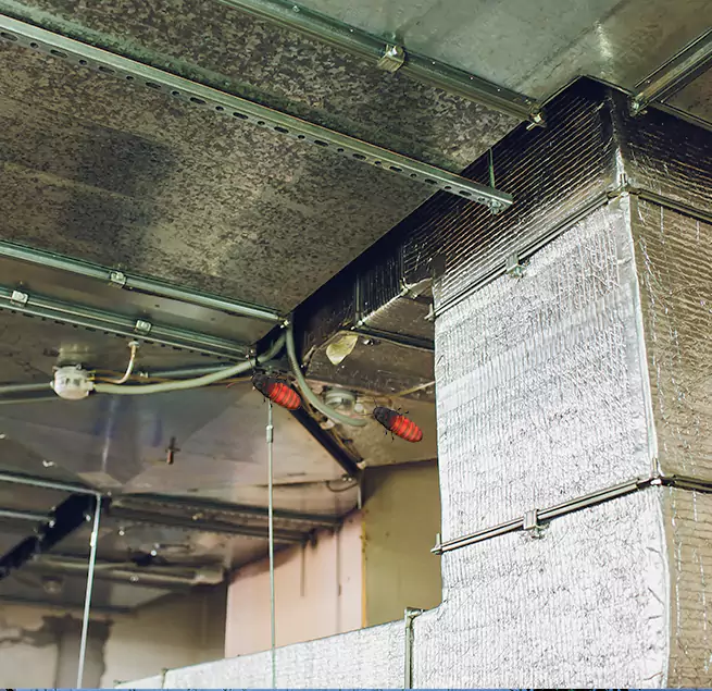 Why Homeowners & Businesses Trust Us Lexington, MA?